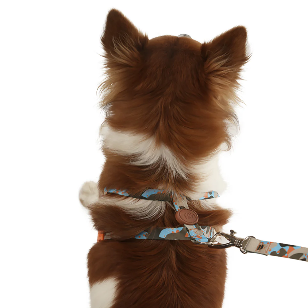 Peitoral Tradicional e Guia Oliva G