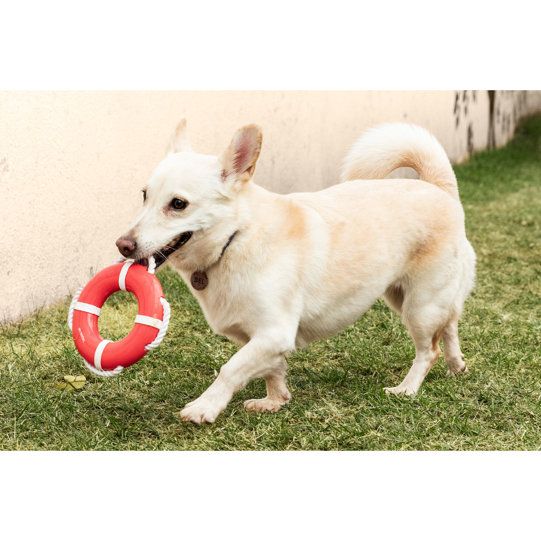 BOIA COM CORDA - FLUTUACAO (S)