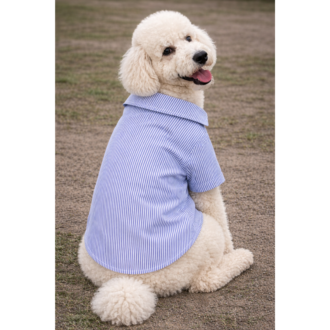 Camisa Azul Listrada