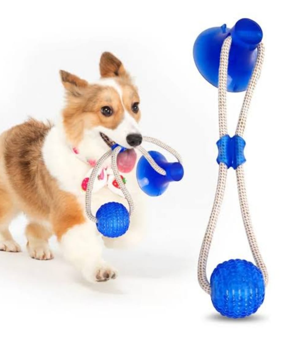 Brinquedo Puxador com Ventosa e Bola