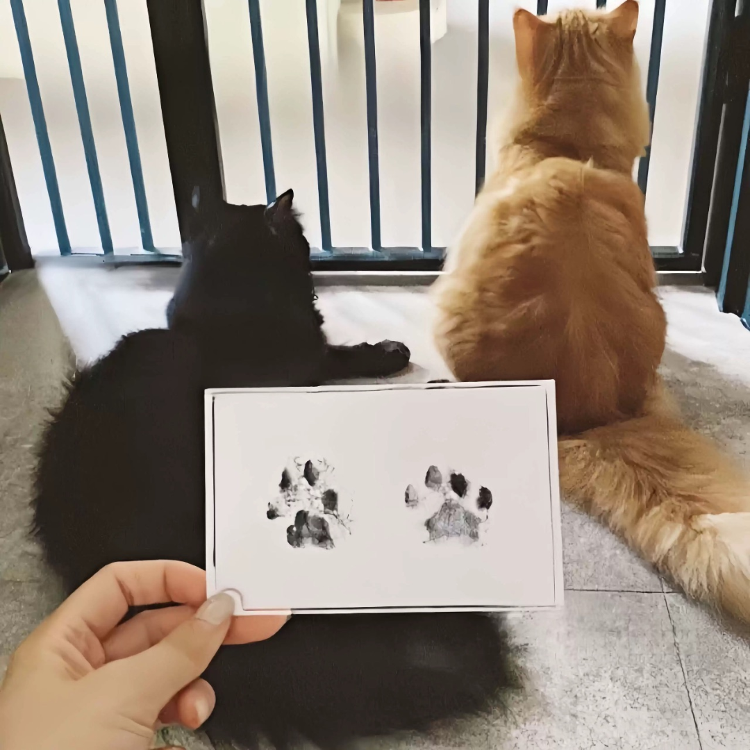 Kit Tinta + Porta Retrato Pata Pet