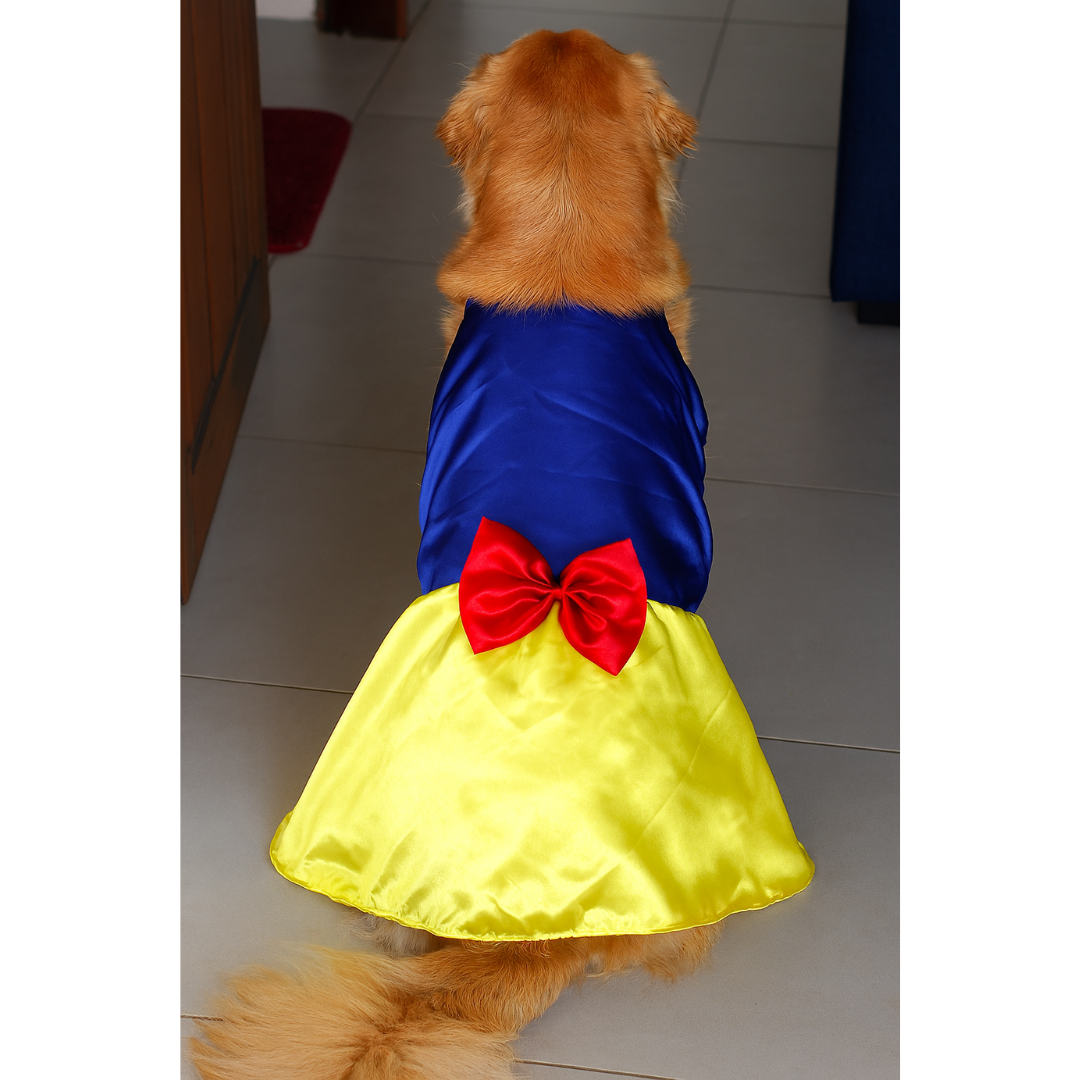 Fantasia Branca de Neve