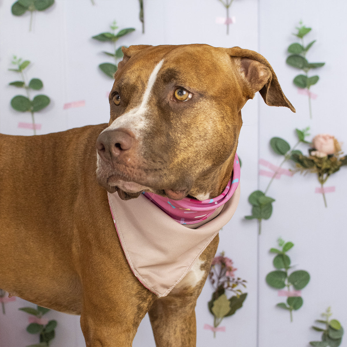 Bandana Dupla Face Donuts