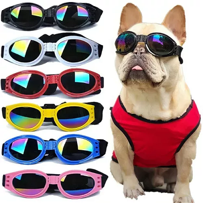 Óculos Motoqueiro Pet