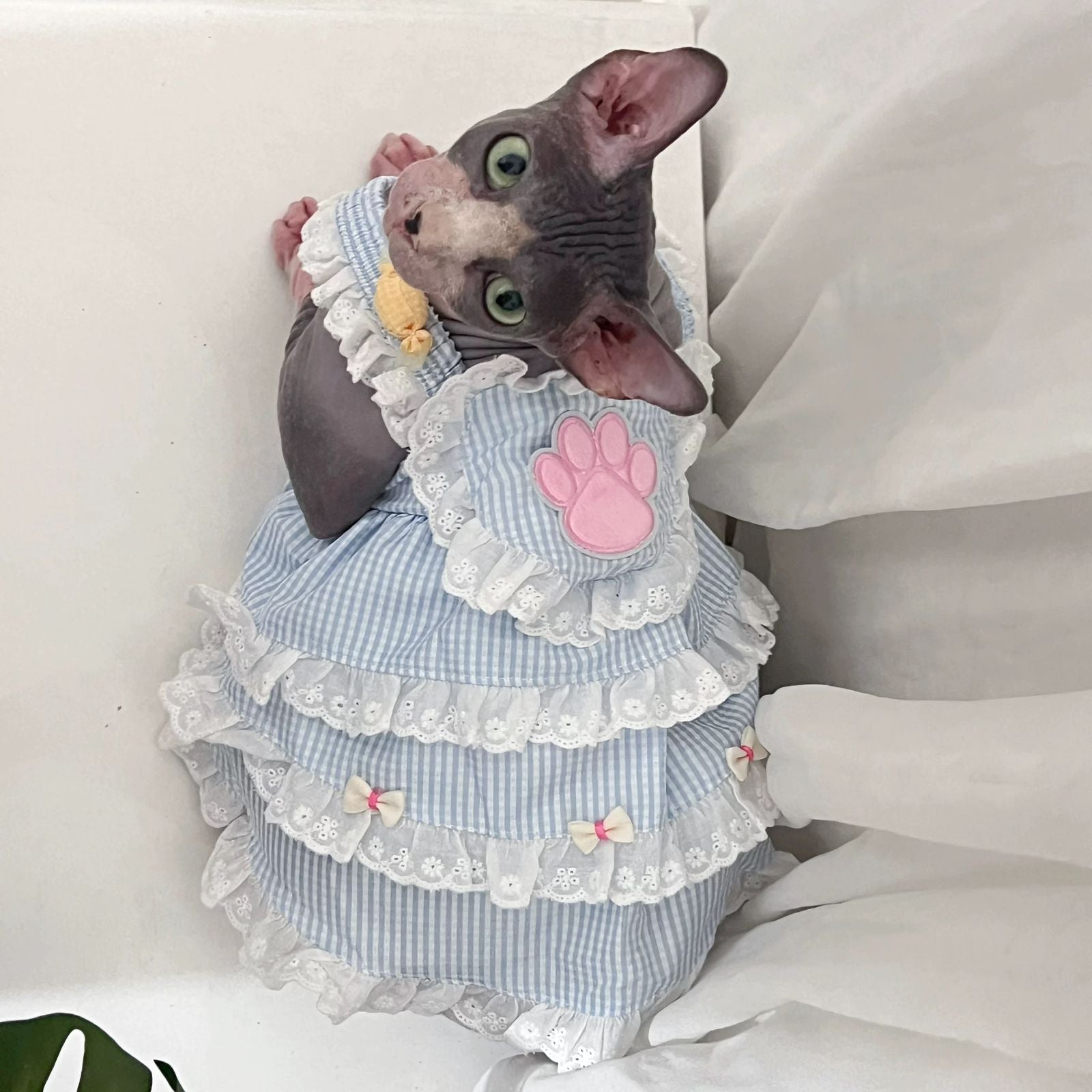 Vestidos Babado Azul