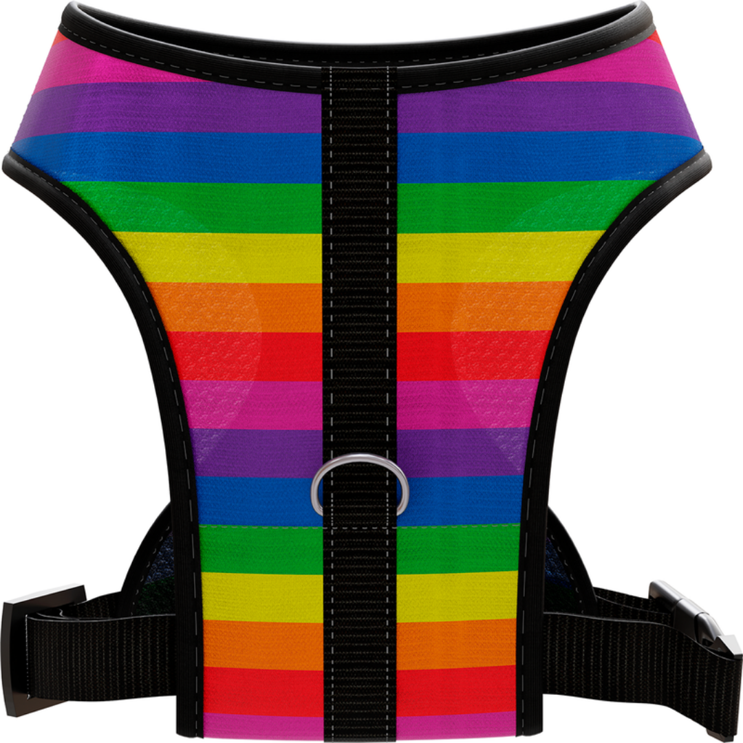 PEITORAL MEUAUAU RAINBOW