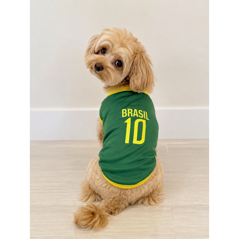Camisa Brasil Copa Camisa 10