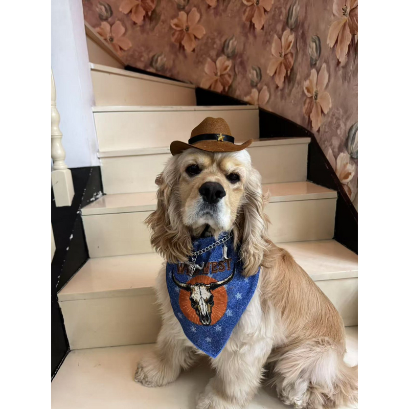Kit Cowboy