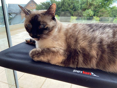 Cama De Janela Suspensa Com Ventosa Para Gatos - Até 15kg