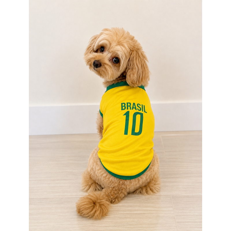Camisa Brasil Copa Camisa 10
