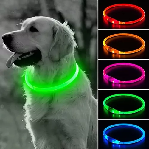 Coleira LED