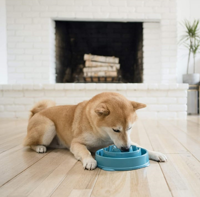 Comedouro Lento Labirinto