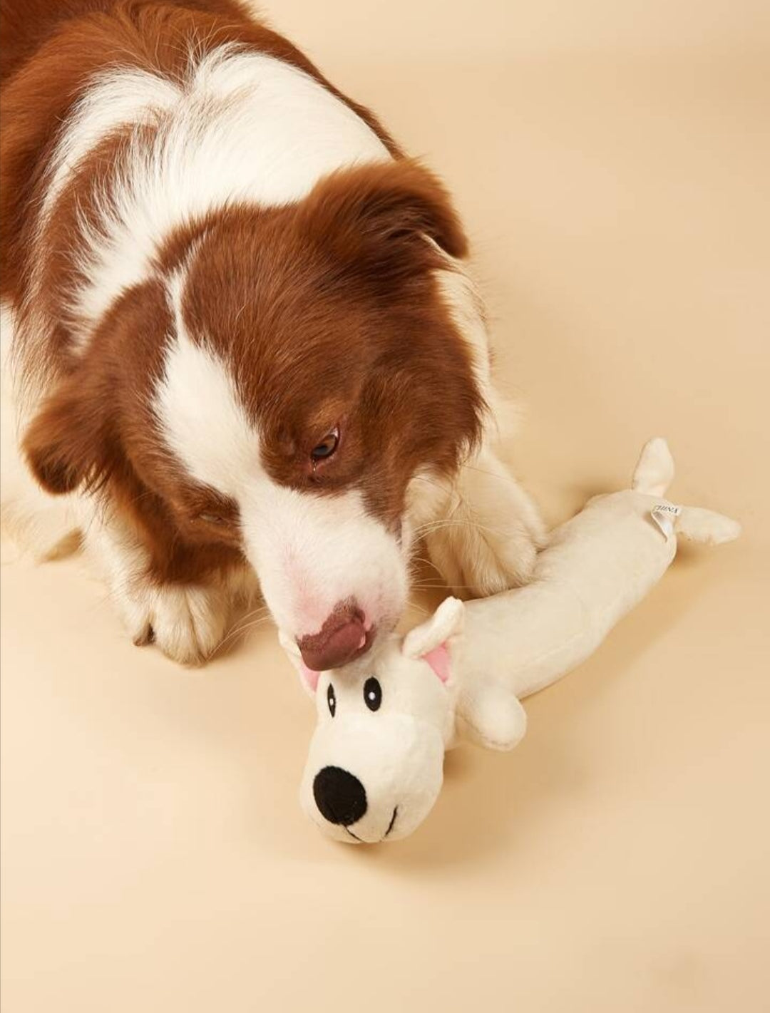 Pelúcia Cachorro Longo Pet