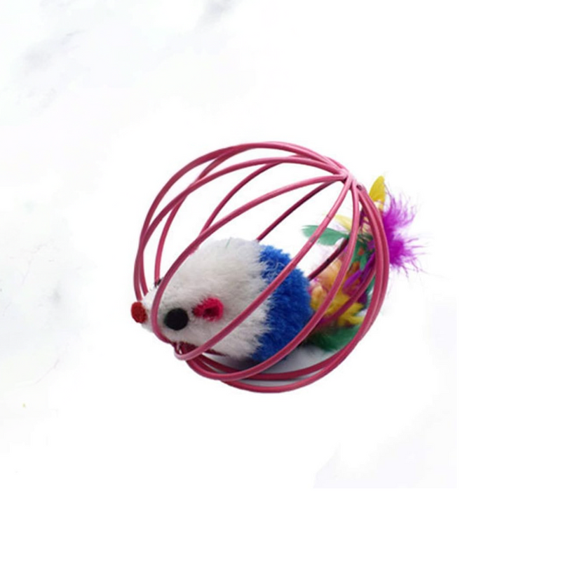 Ratinho no Circulo