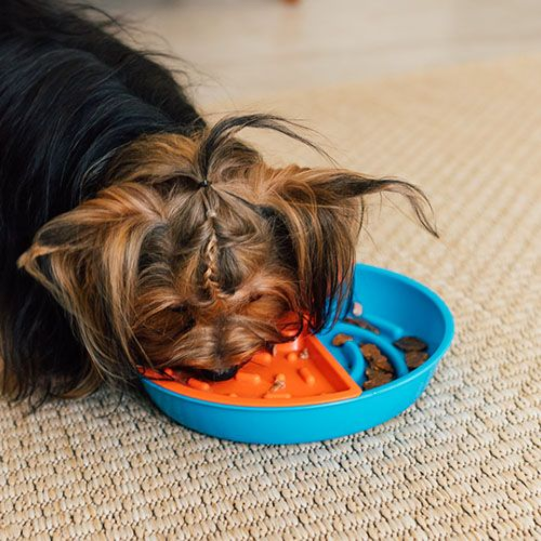 Gira Gira - U - Azul e Laranja - Comedouro - Petiko