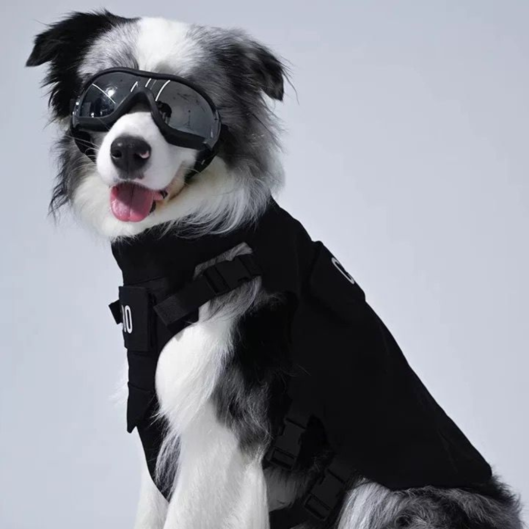 Óculos Esqui Grande