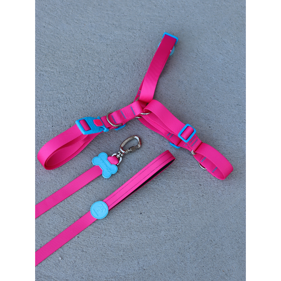 KIT ANTIPUXAO - NEW PINK - M