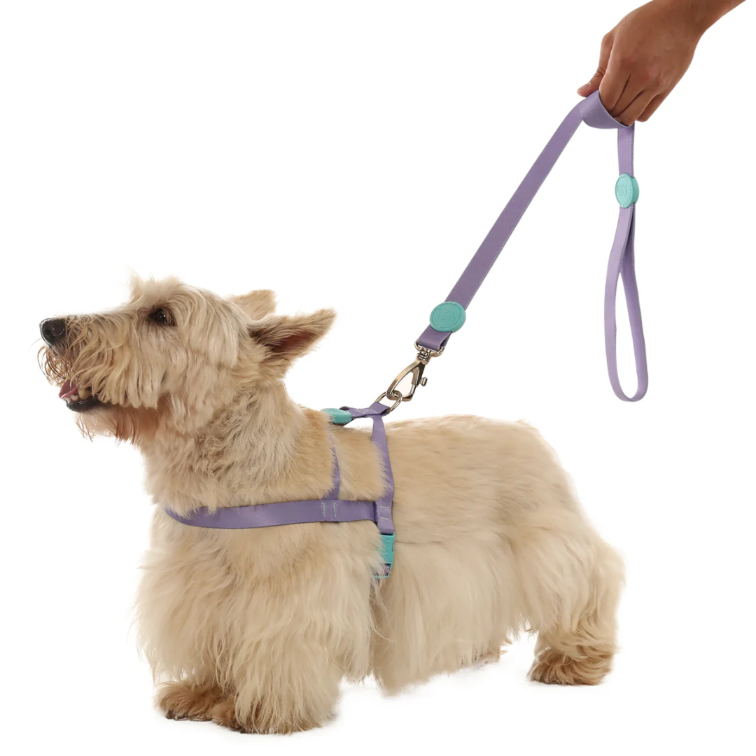 Peitoral Tradicional e Guia Lilas M