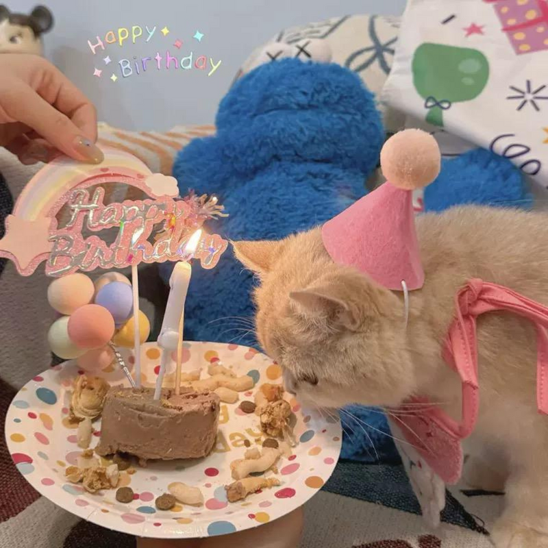 Kit Aniversário
