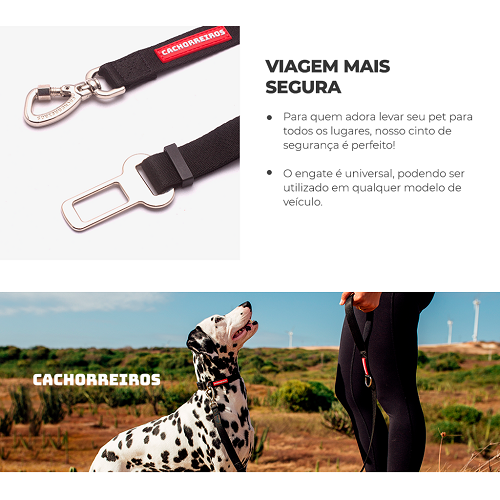 Cinto de Segurança