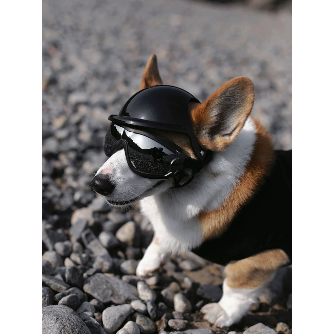 Óculos Esqui Grande