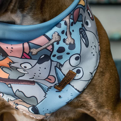 Bandana Dupla Facel Cartoon Colorido