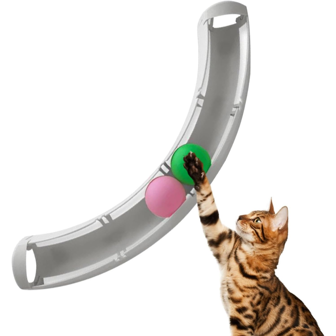 Trilho Interativo Gatos