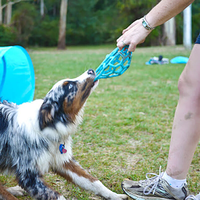 BOLA HOLEE ROLLER SM JW AZUL