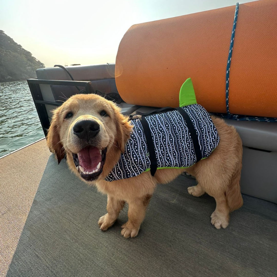 COLETE SALVA VIDAS  TUBALEIA VERDE - P