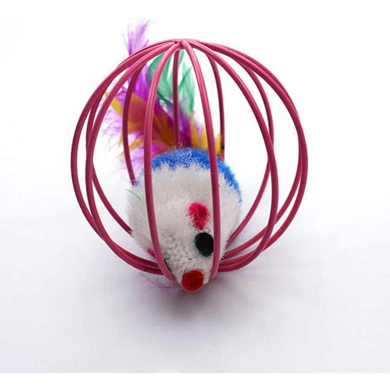 Ratinho no Circulo
