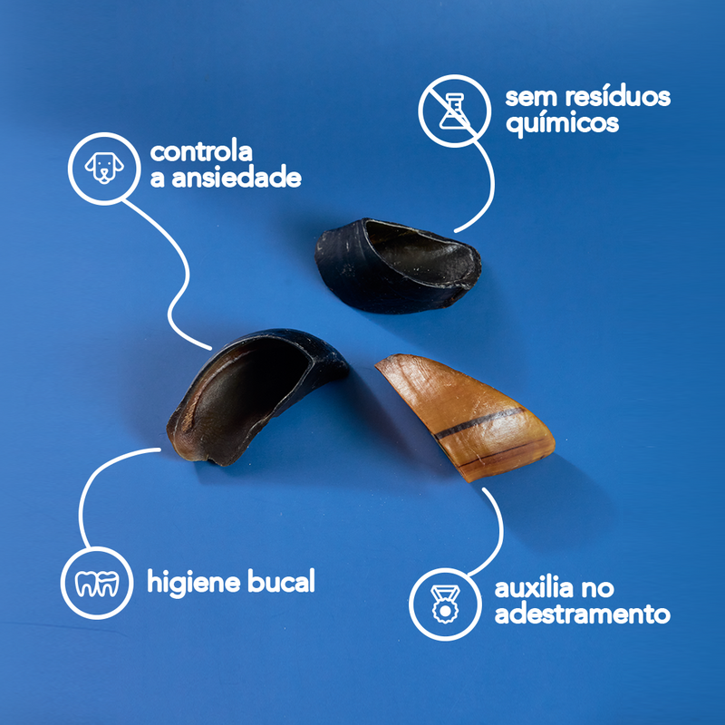 CASCO BOVINO 3 UN