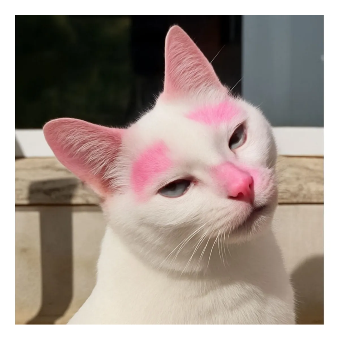 Protetor Solar Docg Fps30