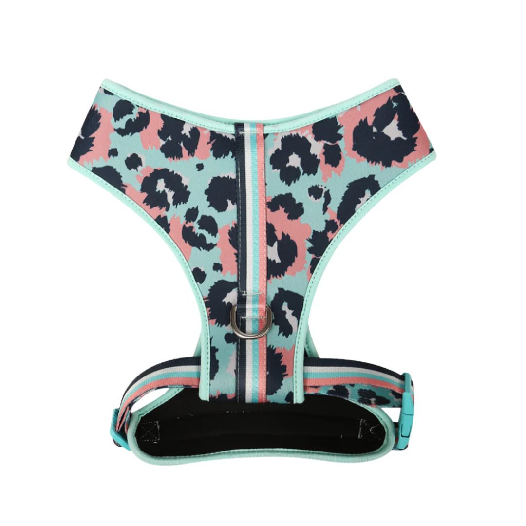 Peitoral Neocomfy e Guia Savana PP