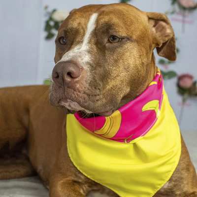 Bandana Dupla Face Bananas