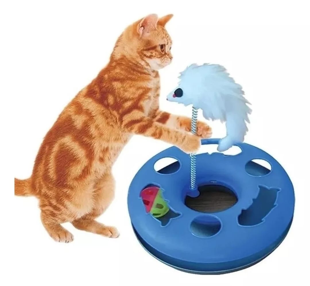 Brinquedo Kitty Ball