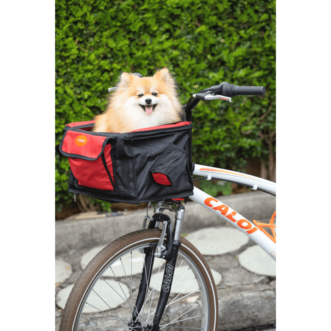 Transbike