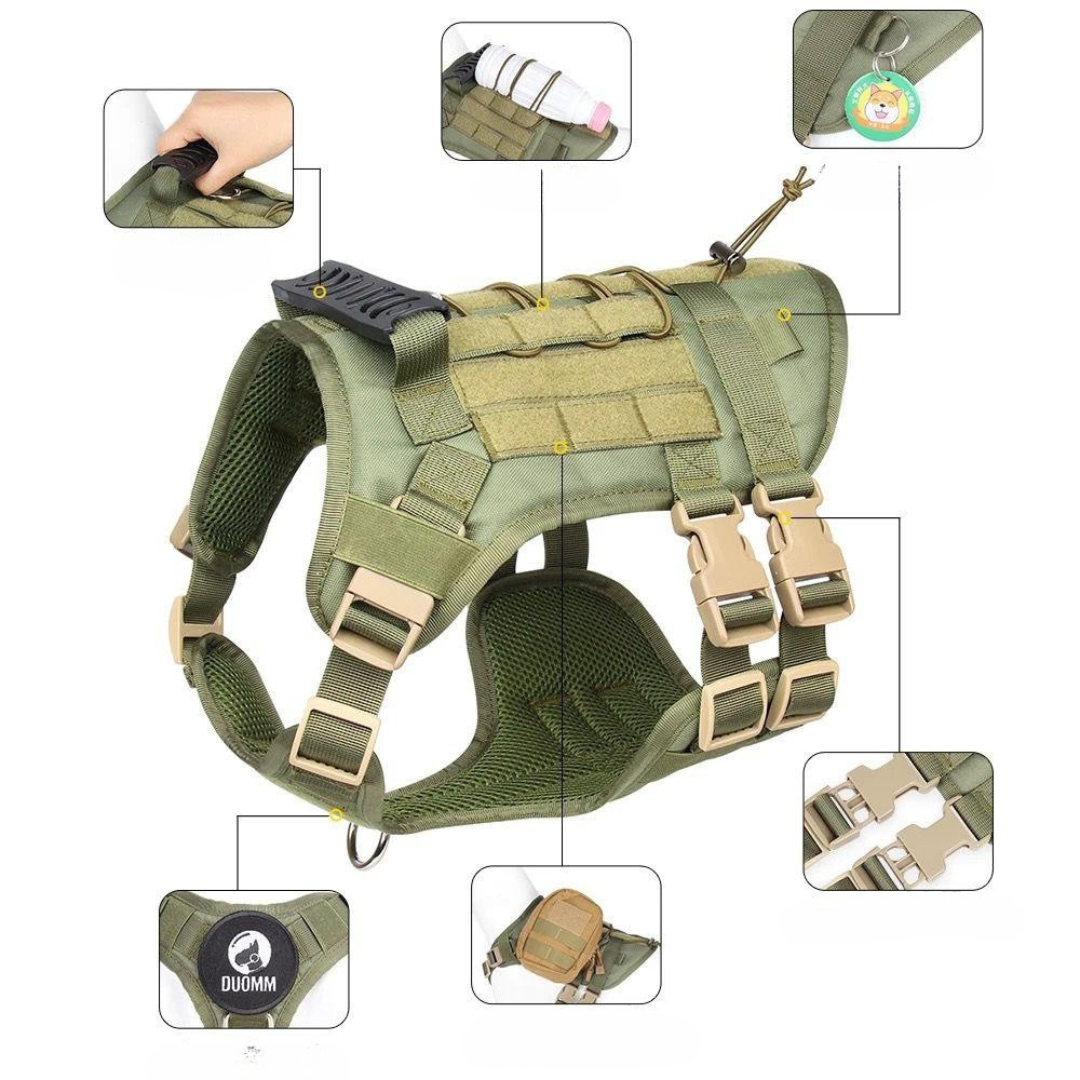 Peitoral Porte Grande Verde + Guia e Bolsa