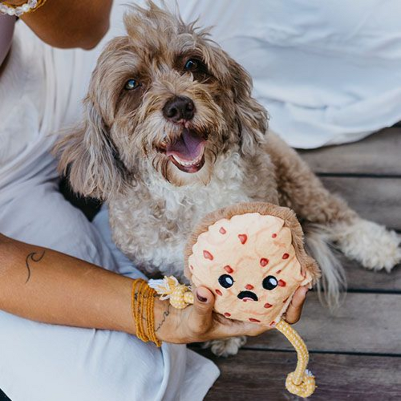 Charles Cookie - P