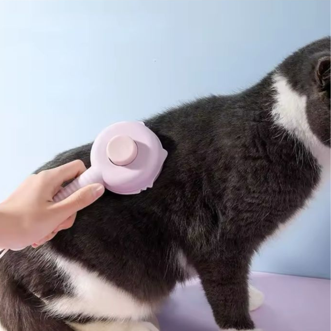 RASQUEADEIRA REDONDA