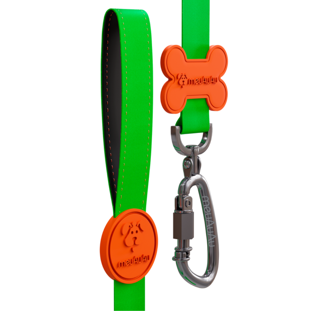 GUIA MEUAUAU LEMONADE