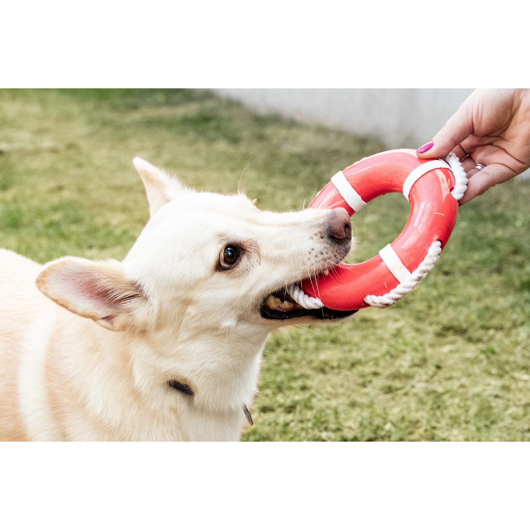 BOIA COM CORDA - FLUTUACAO (S)