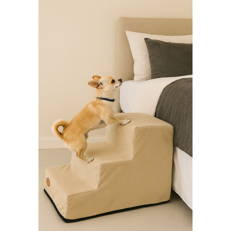 Escada Pet