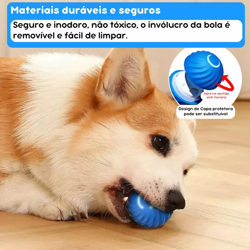 BOLA MOTION PULA-PULA PEQUENA LARANJA CAES