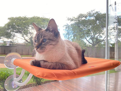 Cama De Janela Suspensa Com Ventosa Para Gatos - Até 15kg
