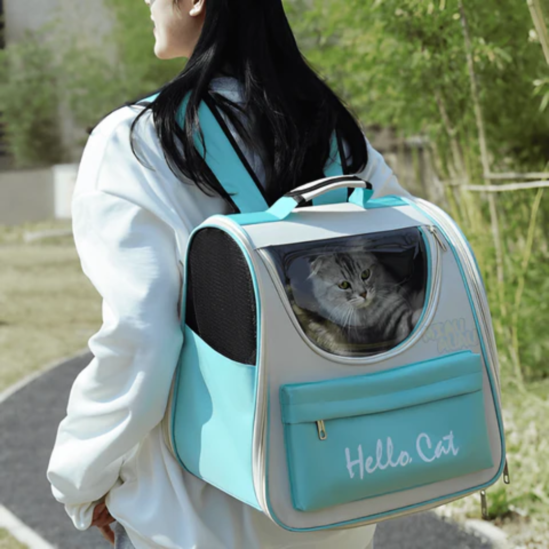 Bolsa De Transporte Hello Cat
