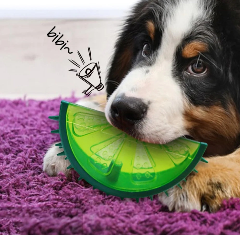 Brinquedo Gelado Frutas