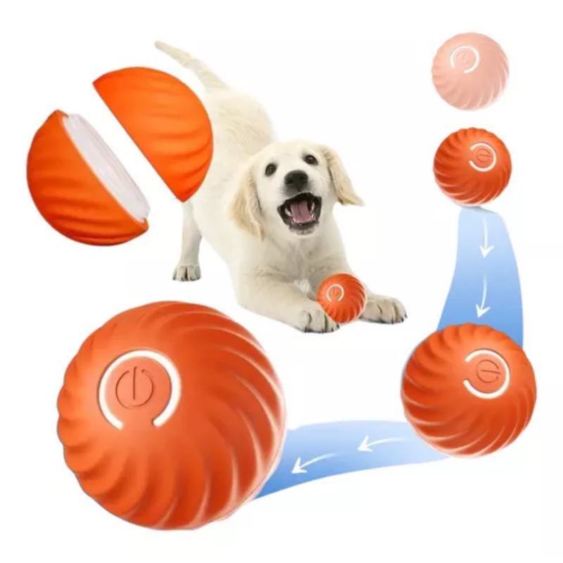 BOLA MOTION PULA-PULA PEQUENA LARANJA CAES