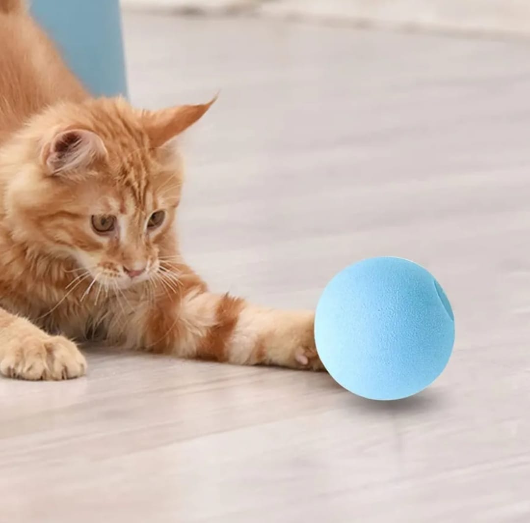 Bola EVA Para Gatos Com Som