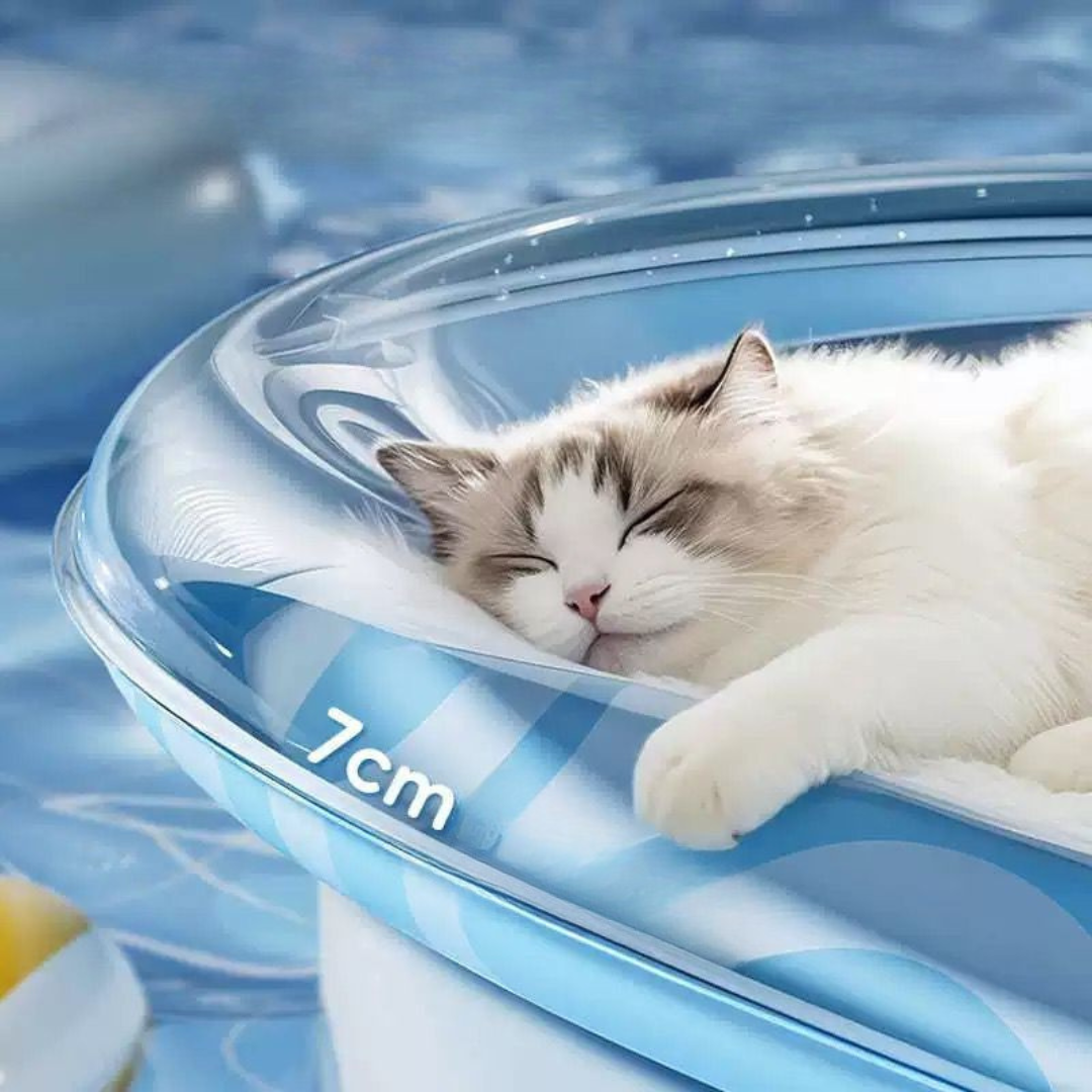 Colchão de Agua Pet