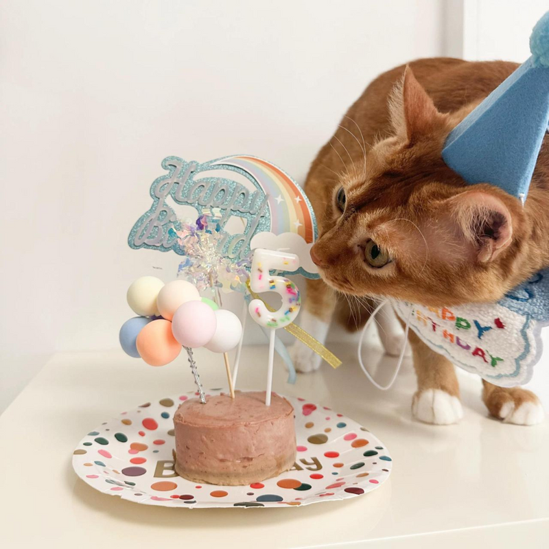 Kit Aniversário